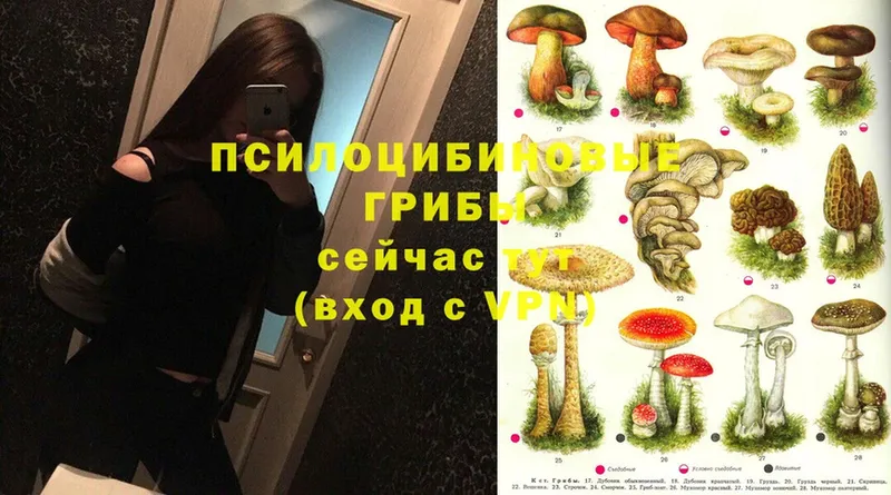 Псилоцибиновые грибы MAGIC MUSHROOMS  Белоозёрский 